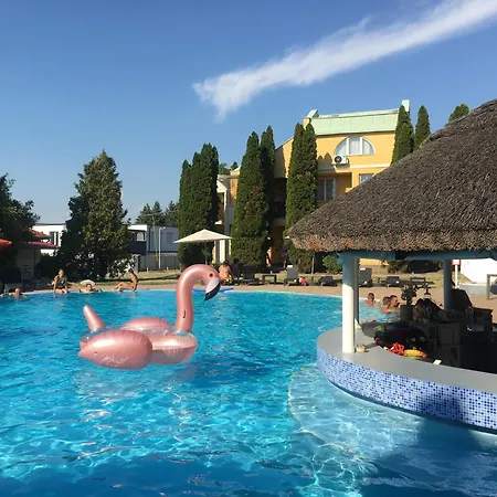 Lili * Siófok
